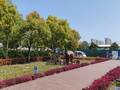 -菊园百果园