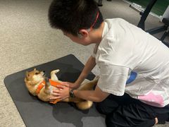 -mYSTEPS健身运动馆(古北店)