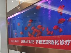 -牙博士口腔品牌连锁(杨浦店)