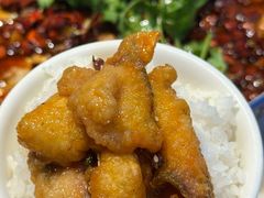 -清真·拉菲尔鱼庄·家常菜(钟楼回民街店)