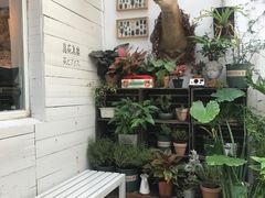 -大水的店(昙华林店)
