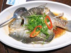 清蒸花斑鱼-敦煌喜宴(万达广场店)