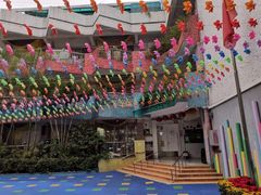 -育星南雅苑幼儿园