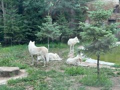 -齐齐哈尔龙沙动植物园