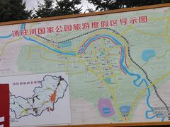 -汤旺河林海奇石景区