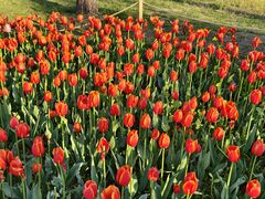 -长春公园(普阳街道)