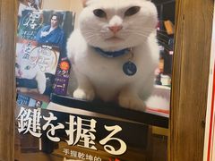 -坂吉屋·居酒屋深夜食堂(龙湖店)