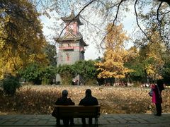 -四川大学(华西校区)