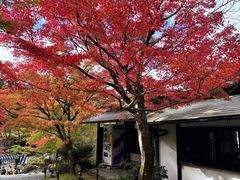 -三千院