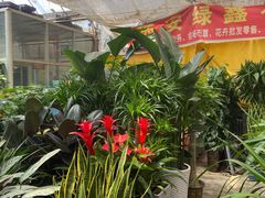 -秦美花卉(天朗·莱茵小城2期店)