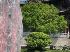 -屈原故里文化旅游区