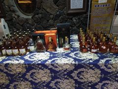 -文成城堡