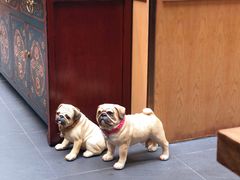 -财神鸡煲(华强北店)