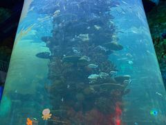 -青岛嘉年华主题乐园