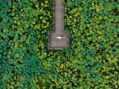 -清漾毛氏文化村