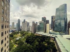 -新加坡文华东方酒店