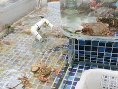 -天盛海鲜烧烤大排档·本地小海鲜·牟平腿穗子(幸福店)