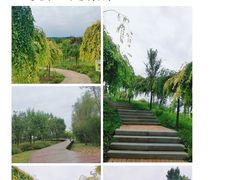 -东郊湿地公园