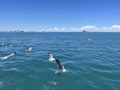 -青海湖国家重点风景名胜区