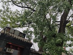 -锅儿挑面馆