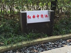 -航空小镇温泉