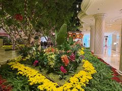 -拉斯维加斯永利酒店