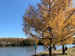 -塞罕坝国家级自然保护区