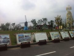 iphone_upload_pic-荷兰花海