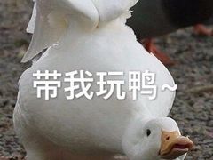 -闻酥园(大慈寺店)