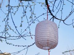 -三里河公园
