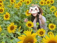 -苏州湾体育公园