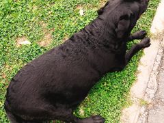 -白鹭湾湿地公园