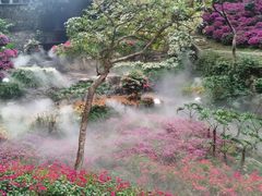 -广州市白云山风景名胜区