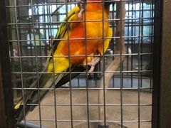 -南宫五洲植物乐园