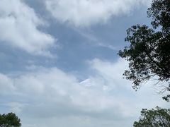 -西山樟坞健康果园枇杷杨梅采摘