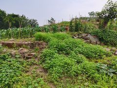 -重庆平顶山公园