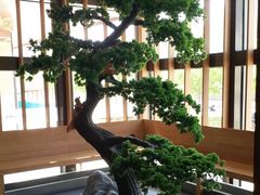 大堂-松子料理(亮马桥店)