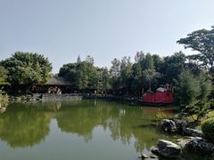 -顺峰山公园