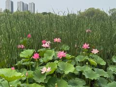 -太阳宫公园