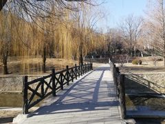 -元大都城垣遗址公园