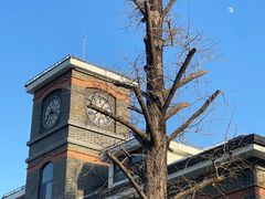 -金陵中学(河西分校)