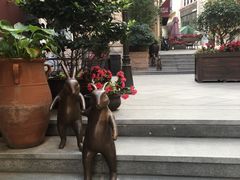 -鲁邦国际风情街(麦世达韩国精品百货店)