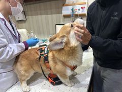 -宠爱国际动物医院·疑难骨科·心肾内科·皮肤科(太阳宫店)