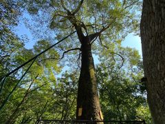 -北京上方山国家森林公园