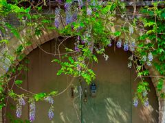 -国家植物园南园