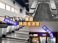 -莱茵体育生活馆