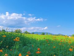 -良渚古城遗址公园