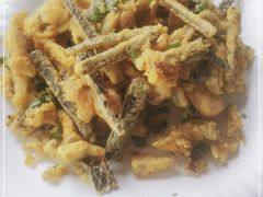 -鲤鱼塘农家山庄