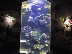 -南昌海洋公园