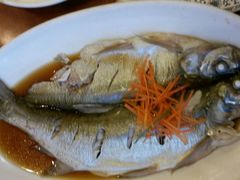 android_upload_pic-西新饭店(城中店)